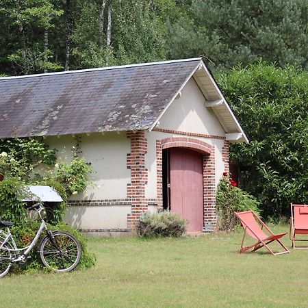 Gite-Region Centre-Sologne 41 Proche Lamotte Beuvron Villa Nouan-le-Fuzelier Exterior photo