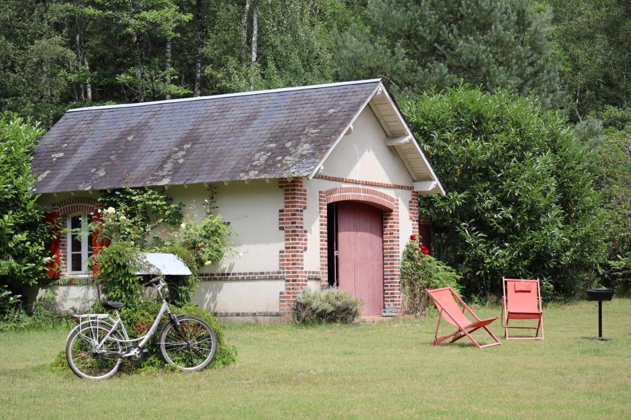 Gite-Region Centre-Sologne 41 Proche Lamotte Beuvron Villa Nouan-le-Fuzelier Exterior photo